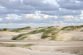Dune landscape of the Côte d'Opale, Pas de Calais, France