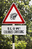 Signpost on the road to Jozani Park, home to an endemic species of Red Colobus, Zanzibar