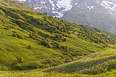 Col du Lautaret (2057 m), Villar-d'Arêne, Hautes-Alpes, France