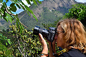 Woman photographing a female Madagascar leaf-nosed snake (Langaha madagascariensis), Madagascar