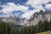 Landscape from Ciampedie hut, Dolomites, Trentino, Italy