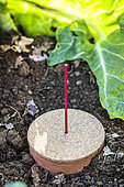 Installation of an oyas, or j'arre d'arrosage, with integrated level indicator.