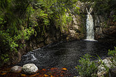 The Disa Falls on the Davidskraal or Disa River in the Harold Porter Botanical Gardens. Betty's (Bettys) Bay. Whale Coast. Overberg. Western Cape. South Africa