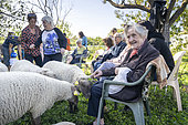 Senior citizen stroking a sheep with a trefoil in the Potiront collective garden. La Bergerie urbaine, an urban agriculture structure in Lyon during the 3rd edition of la petite transhumance, a travelling sheep pasture in the Lyon metropolitan area, Décines, France.
