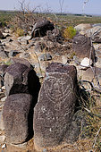 Petroglyphs Mogollon culture ( 1000-1450 ) Three Rivers Petroglyph Site. New-Mexico