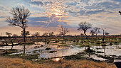 Khwai River, Khwai concession, Botswana