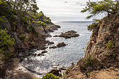 Landscape of the Var coast with a view of a small calanque in summer, on the coastal path in the Lavandou area, Var, France