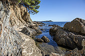 Seaside landscape with Var coastal path in summer, Le Neil area on the Giens peninsula, Var, France