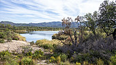 Landscape of the Plaine des Maures Reserve with Lac des Escarcets in autumn, Environs des Mayons, Var, France