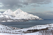 Tromvik road on the edge of the fiord where the moon is reflected, the sun is not visible in winter, only the moon illuminates the landscape. Landscape and dwellings amid fjords and Alpine-style mountains on the islands around Tromso, Norway