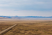 Dirt road on the steppe, Landscape, Steppe, Eastern Mongolia, Mongolia, Asia
