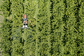 Springtime pesticide spraying (probably a fungicide) in a plum field under intensive arboriculture in the lower Durance valley. Vaucluse, Luberon.