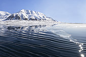 Aboard a shuttle in Svalbard's Longyearbayen fjord, past an Alpine-like landscape with sharp Spilzberg mountains and glaciers flowing into the sea.