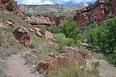 Rio Martin Nature and Cultural Reserve: canyon formed by red Triassic sandstones. In the distance, the brownish and greyish Carboniferous geological strata, Province of Teruel, Spain.