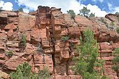 Rio Martin Canyon: Triassic red sandstone, Teruel Province, Spain