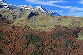 Vallée d'Aspe, Sansanet forest in autumn, Pyrenees National Park, France