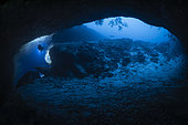 View of the entrance to the karstic cave of Passe Bateau Sud at a depth of 60 metres, Mayotte
