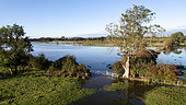 River Thames Chearsley in floods, England