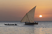 The crews of a sailing dhow and a motorized pirogue set off to fish at sunset on the waterfront in Stone Town, Zanzibar, Tanzania.