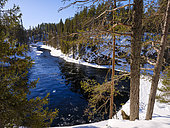 River Kitkajoki near Myllykoski. Winter in the Oulanka National Park (Oulangan kansallispuisto) in finnish Lapland. Europe, northern europe, Finland, Lapland