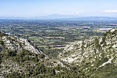 Massif des Alpilles, Saint Rémy de Provence, Mont Ventoux in the background, Provence, France