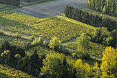 Farming in the lower Durance valley, Orgon / Sénas, Alpilles, Provence, France