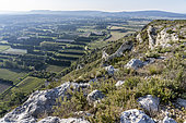 Lower Durance valley and agriculture, from Orgon, Alpilles, Provence, France