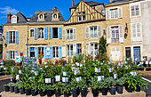 Fête des jardins et des cours dans la cité Plantagenet or Le vieux Mans, Sarthe, France