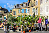 Fête des jardins et des cours dans la cité Plantagenet or Le vieux Mans, Sarthe, France