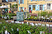 Fête des jardins et des cours dans la cité Plantagenet or Le vieux Mans, Sarthe, France