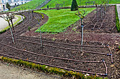 Drip pipes for irrigation of the Jardin des Plantes, Le Mans, Sarthe, France