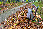 Dead leaves and a bench in an alley of the Jardin des Plantes, Le Mans, Sarthe, France