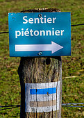 Sign on a stake reading 'Sentier piétonnier', Sarthe, France