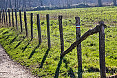 Hiking trail signs on a meadow fence with wooden stakes, Sarthe, France