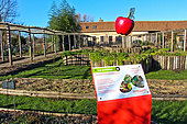 Jardin légume fruit pédagogique de l'arche de la nature, explanation of mulching in winter, Le Mans Métropole, Sarthe, France