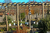 Jardin légume fruit pédagogique de l'Arche de la nature, Plantations d'hiver, Le Mans Métropole, Sarthe, France