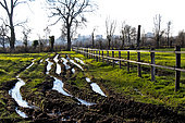Flooding in a meadow at the Arche de la Nature for farm animals, Le Mans Métropole, Sarthe, France