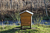 Beehive in winter, Sarthe, France
