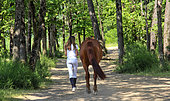 Young woman walking her horse along a country lane, Sarthe, France