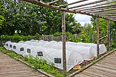 Plastic greenhouse in the educational vegetable garden of the Arche de la Nature, Sarthe, France