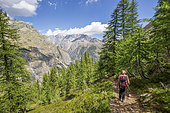 Hike back from Bosse de Clapouse, Celse Nière valley in background, Vallouise, Ecrins National Park, Hautes-Alpes, France