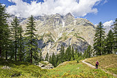 Hike back from Bosse de Clapouse, Mont Pelvoux in background, Vallouise, Ecrins National Park, Hautes-Alpes, France
