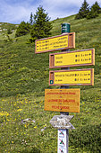 Orientation post at Lac Noir (2039 m), Taillefer massif, hike to Plateau des Lacs (2068 m) via the GR 50 long-distance hiking trail, Matheysine, Oisans, Isère, France