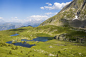 Plateau des Lacs (2068 m) via the GR 50 long-distance hiking trail, Lac Noir (2039 m), Lac de l'Agneau and Lac de la Veche, with the Meije massif in the background, Matheysine, Oisans, Isère, France