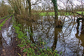 Flooding in the countryside, overflowing ditch, Champagne, Sarthe, France