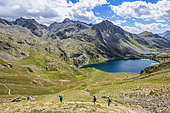 Randonnée des lacs de Vens par le Col du Fer, le grand lac supérieur (2325 m), Mercantour National Park, Alpes-Maritimes, France