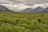 Kigluaik mountains (Sawooth range), a major graphite mine is to be re-exploited for the new needs of the components market. Mountains west of the Nome to Teller Highway, Teller Highway, Seward Peninsula, Alaska, USA