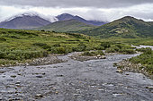 Kigluaik mountains (Sawooth range), a major graphite mine is to be re-exploited for the new needs of the components market. Mountains west of the Nome to Teller Highway, Teller Highway, Seward Peninsula, Alaska, USA