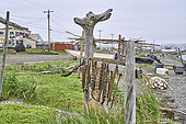 Village of the Inupiat community of Teller (229 inhabitants), fishing, hunting and gathering, sea-dried salmon, Seward Peninsula, Alaska, USA
