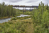 Denali Star Train, Alaska railroad train, Anchorage - Fairbanks, Denali National Park, Alaska, USA